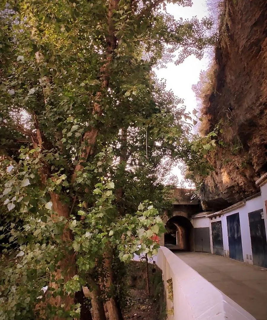 Casa Cueva Las Chicas Del Puente Setenil De Las Bodegas Сasa de vacaciones